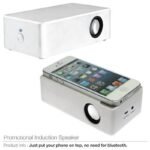 Induction Speaker MS-01 206