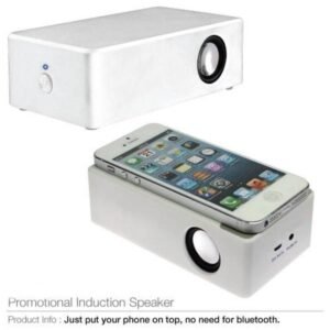 Induction Speaker MS-01 206