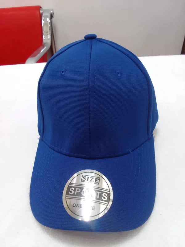 FlexiFit Roybal Blue Cap