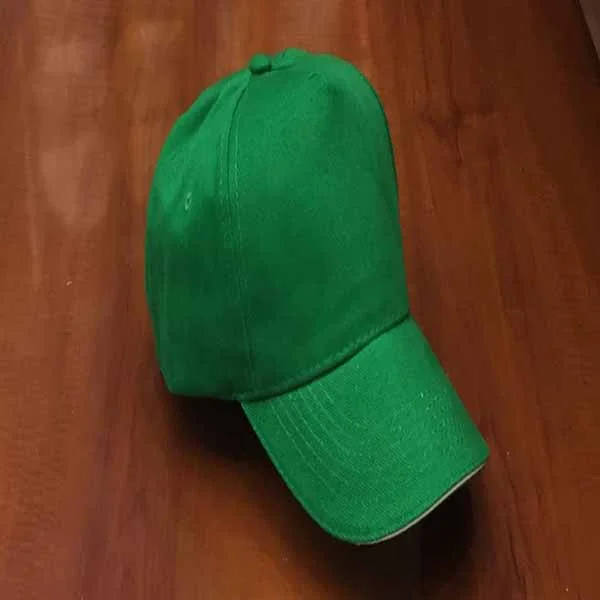 Green White Sandwitch